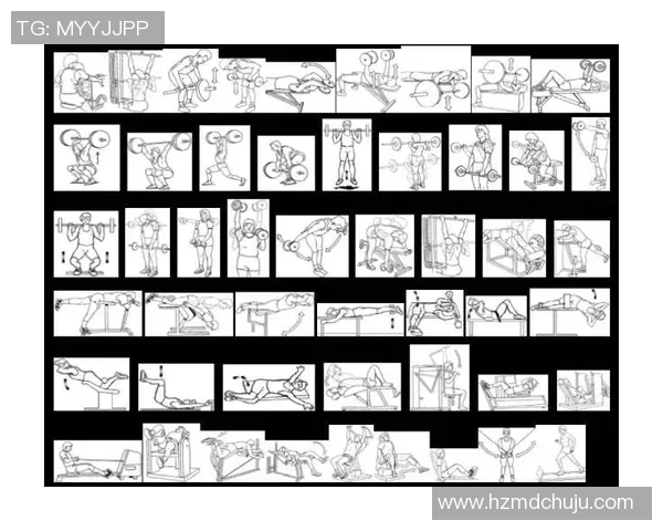 全面提升力量训练效果的科学方法与实用技巧解析